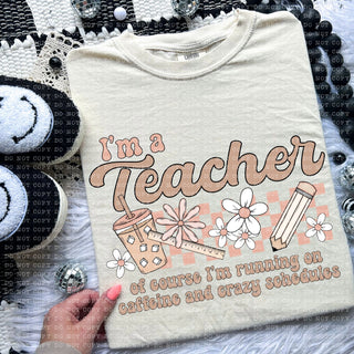 Im A Teacher Shirt